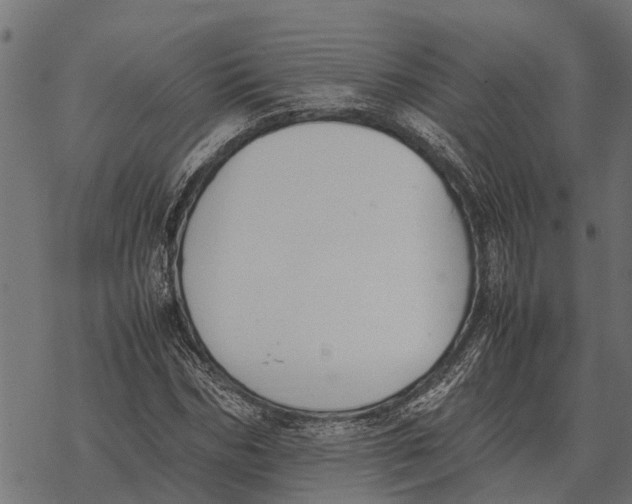 X0000067950970200605041821