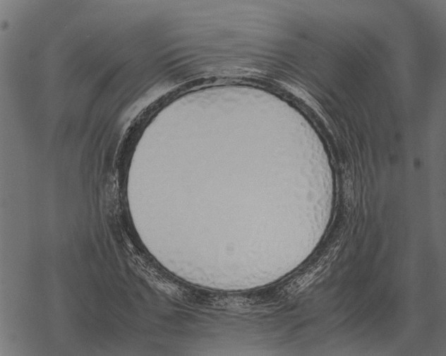 X0000067950971200605041821