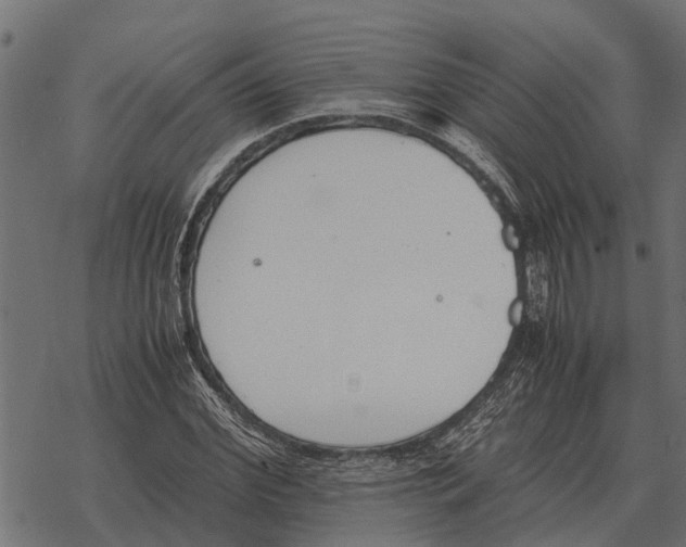 X0000067950972200605041821