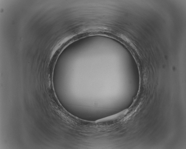 X0000067950973200605041821