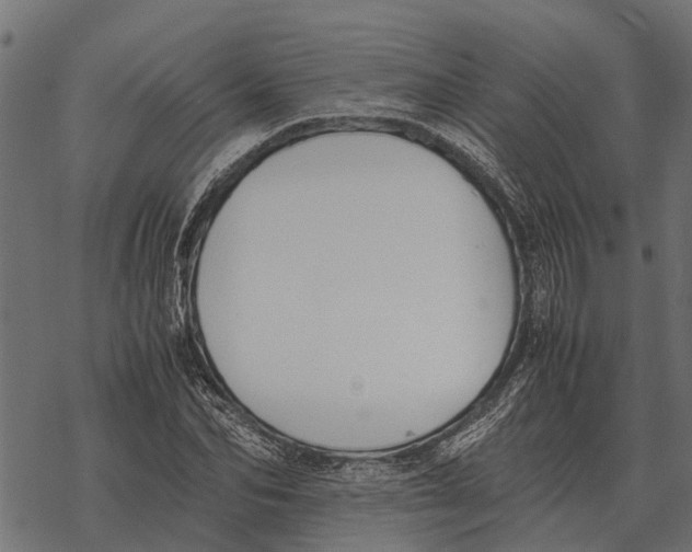 X0000067950974200605041821