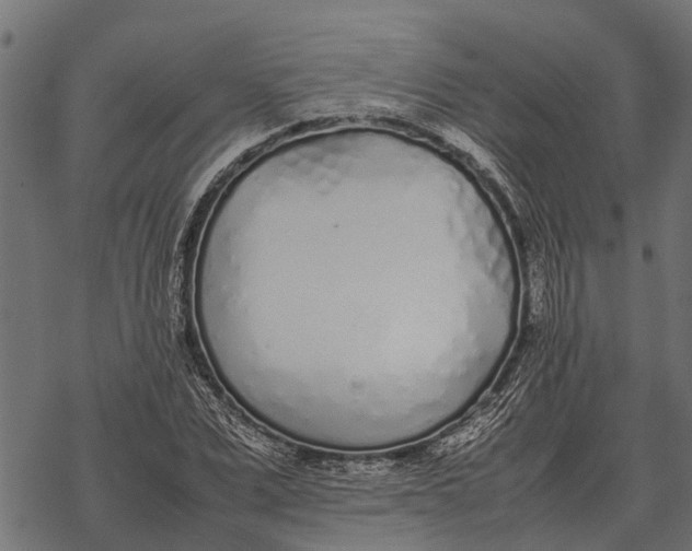 X0000067950975200605041821