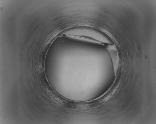 X0000067950977200605041821