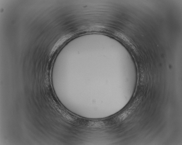 X0000067950978200605041821