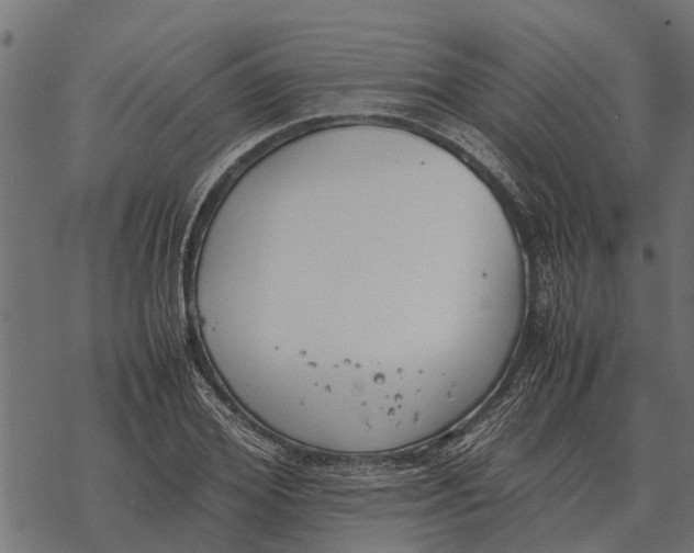 X0000067950980200605041821