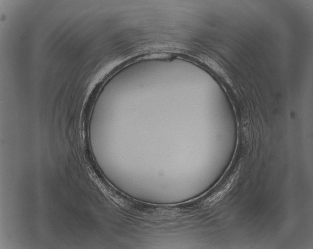 X0000067950981200605041821