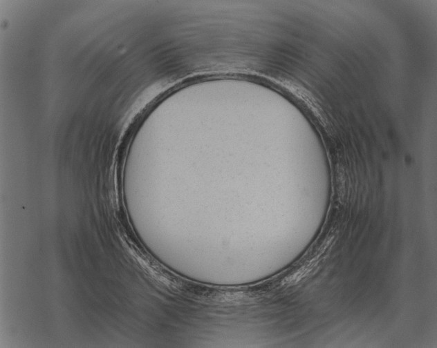 X0000067950982200605041821