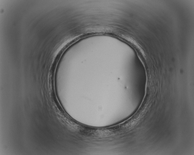 X0000067950983200605041821