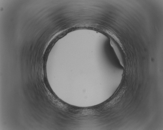 X0000067950984200605041821