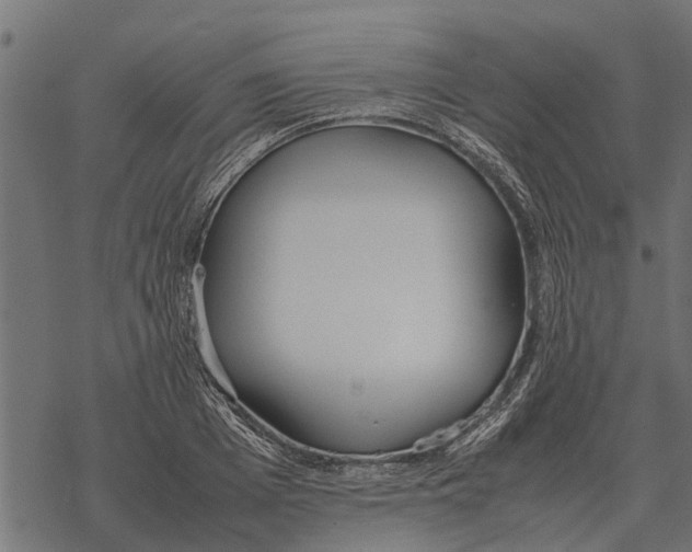 X0000067950985200605041821