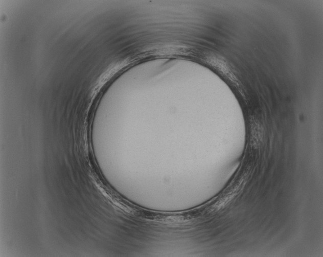 X0000067950986200605041821