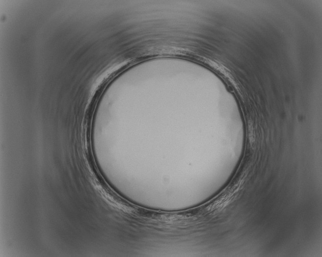 X0000067950987200605041821