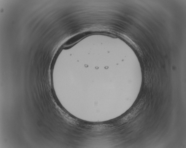 X0000067950988200605041821