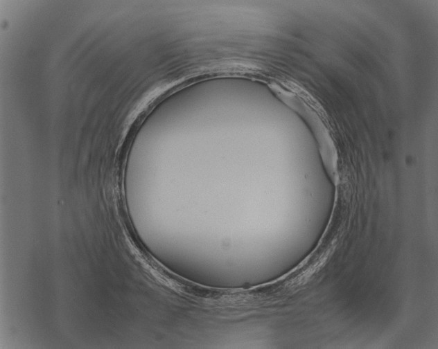 X0000067950989200605041821