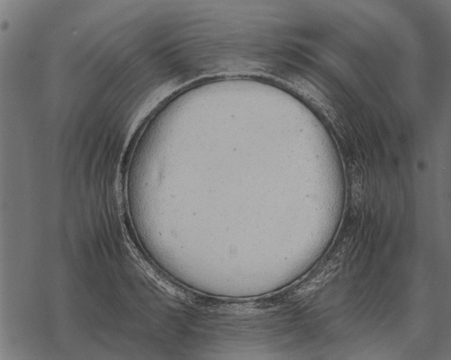 X0000067950990200605041821