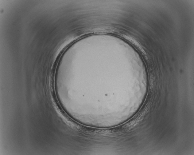 X0000067950991200605041821