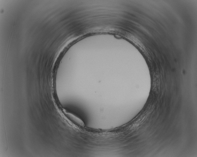 X0000067950992200605041821