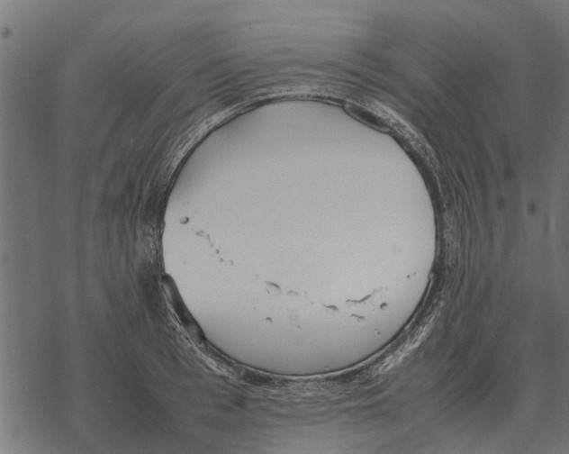 X0000067950993200605041821