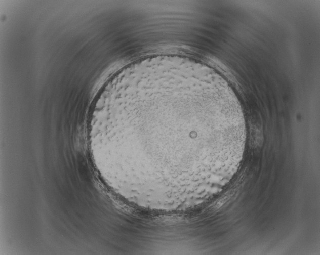 X0000067950994200605041821