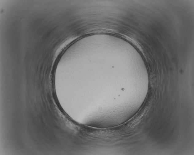 X0000067950995200605041821