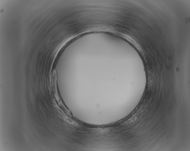 X0000067950996200605041821