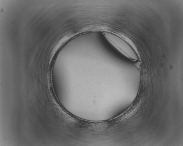 X0000067950997200605041821