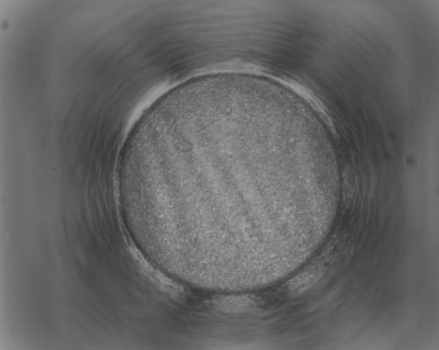 X0000067950998200605041821