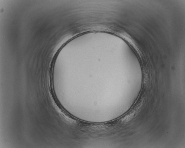 X0000067950999200605041821