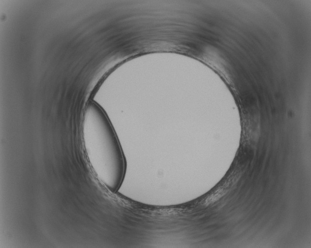 X0000067951000200605041821