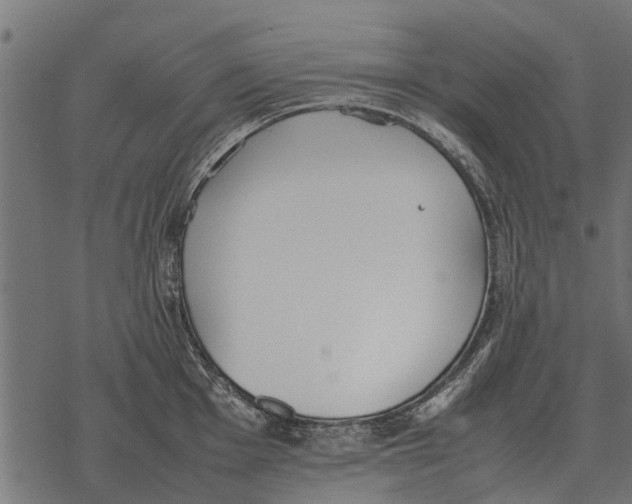 X0000067951001200605041821