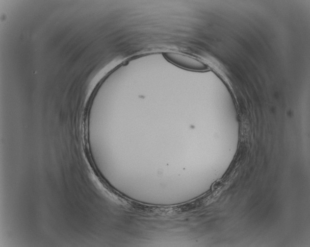 X0000067951003200605041821