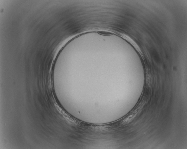 X0000067951004200605041821