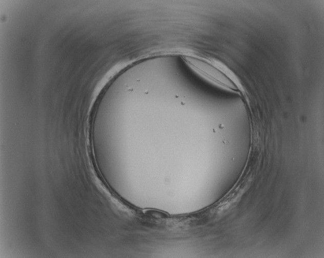 X0000067951005200605041821