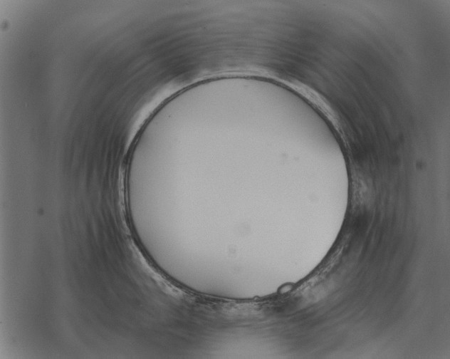 X0000067951006200605041821