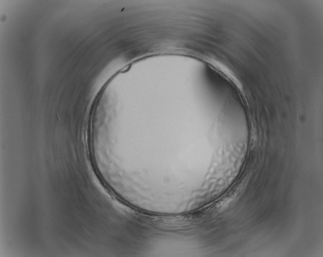 X0000067951007200605041821