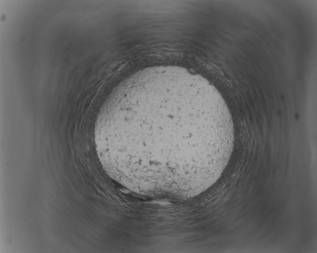 X0000067951009200605041820