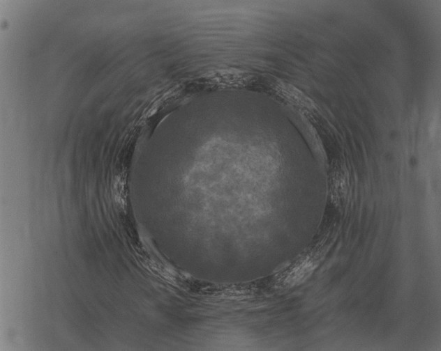 X0000067951010200605041820