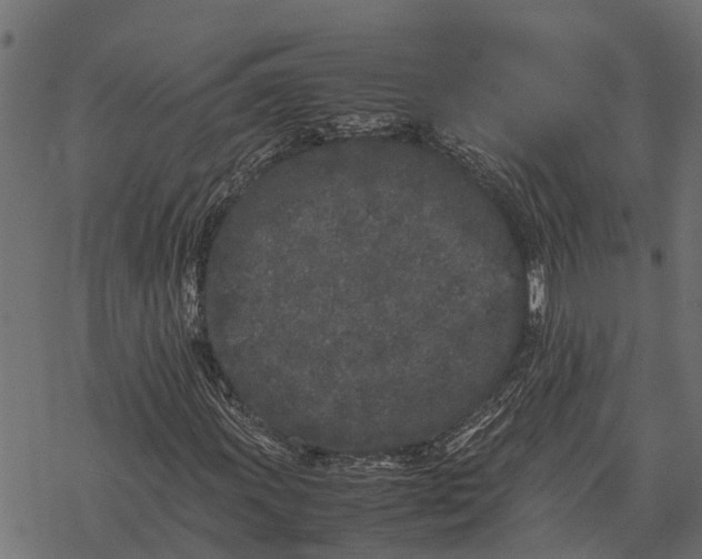 X0000067951011200605041820