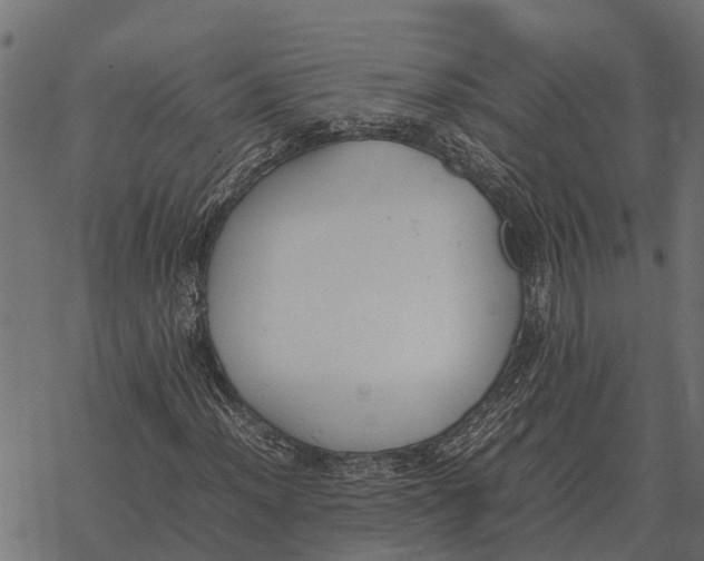 X0000067951012200605041820