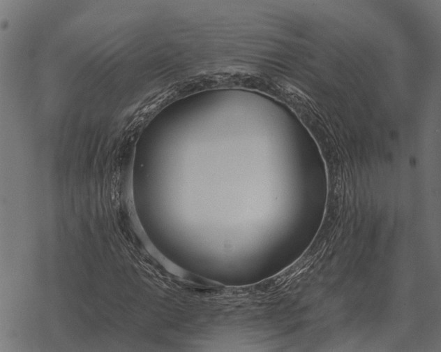 X0000067951014200605041820