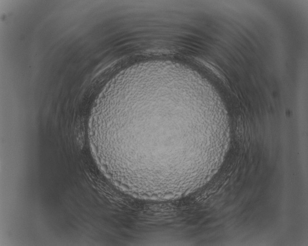 X0000067951015200605041820