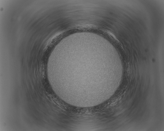 X0000067951016200605041820