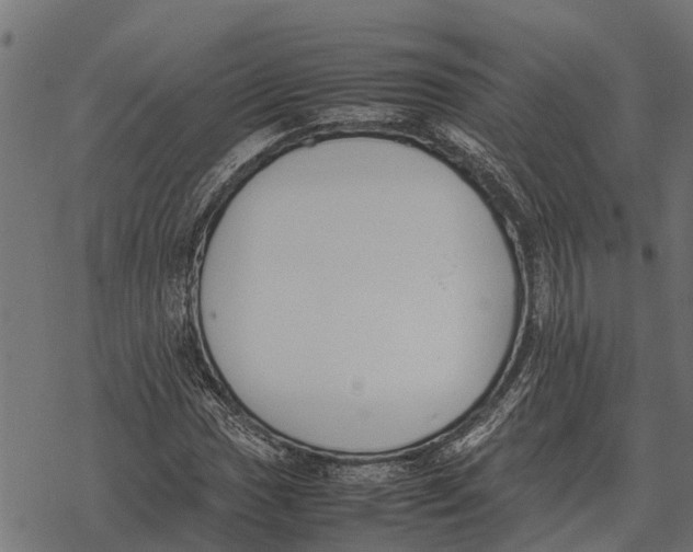 X0000067951017200605041820