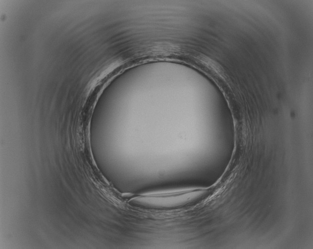 X0000067951018200605041820