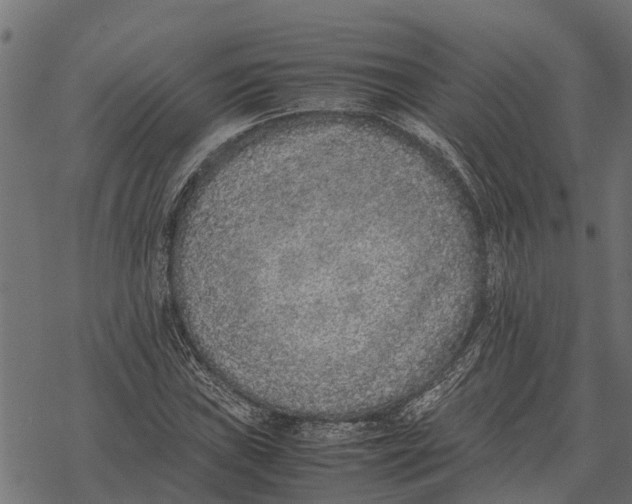 X0000067951019200605041820