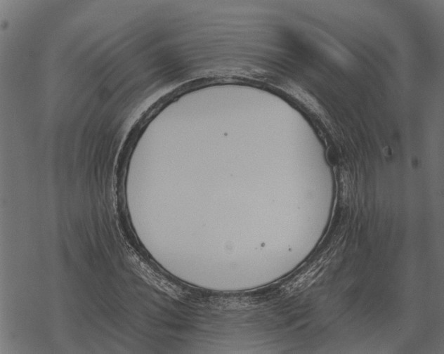 X0000067951020200605041820