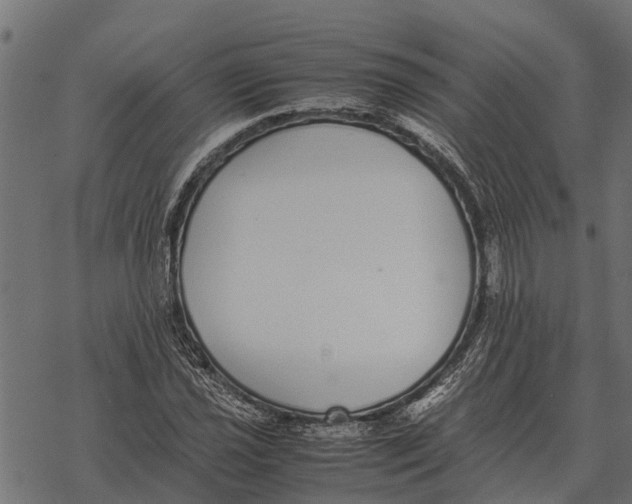 X0000067951021200605041820