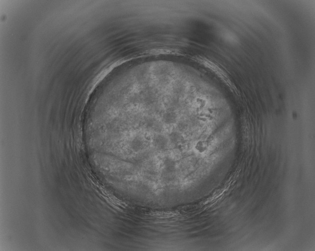 X0000067951023200605041820