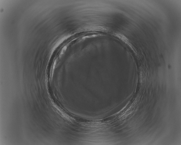 X0000067951024200605041820