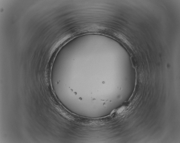 X0000067951026200605041820